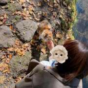 さくら 軽率に好きになるのである Fの法則