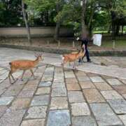 ヒメ日記 2025/12/23 13:01 投稿 さくら Fの法則