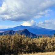 ヒメ日記 2026/01/26 12:00 投稿 さくら Fの法則