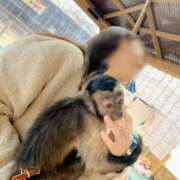 ヒメ日記 2026/01/29 09:00 投稿 さくら Fの法則