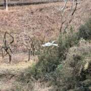 ヒメ日記 2026/02/06 15:00 投稿 さくら Fの法則