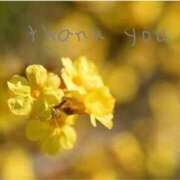 ヒメ日記 2025/01/31 10:46 投稿 柏木 昼顔妻 五反田店