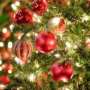 ヒメ日記 2025/12/13 17:46 投稿 柏木 昼顔妻 五反田店