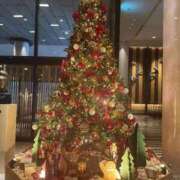 ヒメ日記 2025/12/25 14:36 投稿 柏木 昼顔妻 五反田店