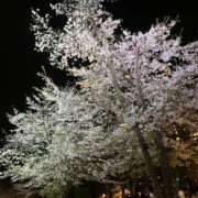 ヒメ日記 2026/04/03 21:38 投稿 杉田 ミセスの手ほどき