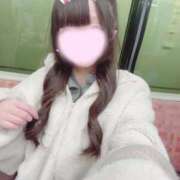 ヒメ日記 2026/01/28 19:20 投稿 なな 晴れんち