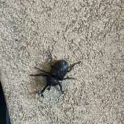 ヒメ日記 2025/08/01 17:28 投稿 いまり 即アポ奥さん ～津・松阪店～