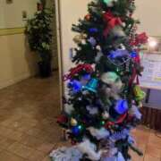 ヒメ日記 2025/11/22 21:56 投稿 いまり 即アポ奥さん ～津・松阪店～