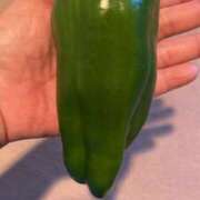 ヒメ日記 2025/11/26 11:18 投稿 いまり 即アポ奥さん ～津・松阪店～