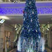 ヒメ日記 2025/12/24 08:39 投稿 いまり 即アポ奥さん ～津・松阪店～