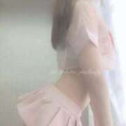 ヒメ日記 2025/04/29 07:49 投稿 めろ The White