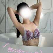 ヒメ日記 2025/06/25 00:57 投稿 めろ The White