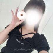 ヒメ日記 2025/09/24 05:26 投稿 めろ The White