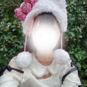 ヒメ日記 2025/09/27 10:22 投稿 めろ The White