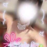 ヒメ日記 2025/10/16 05:21 投稿 めろ The White