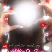 ヒメ日記 2025/10/29 05:25 投稿 めろ The White