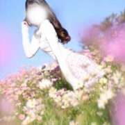 ヒメ日記 2025/11/03 05:24 投稿 めろ The White