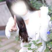 ヒメ日記 2025/11/07 09:18 投稿 めろ The White