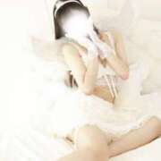 ヒメ日記 2025/11/12 09:49 投稿 めろ The White