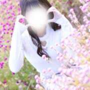 ヒメ日記 2025/12/01 22:26 投稿 めろ The White