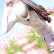 ヒメ日記 2025/12/04 19:34 投稿 めろ The White