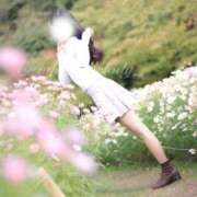 ヒメ日記 2025/12/10 05:31 投稿 めろ The White