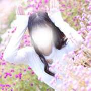 ヒメ日記 2025/12/13 05:28 投稿 めろ The White