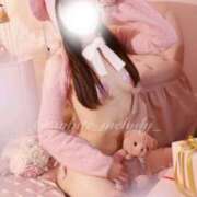 ヒメ日記 2025/12/27 05:26 投稿 めろ The White