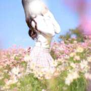 ヒメ日記 2025/12/27 18:03 投稿 めろ The White