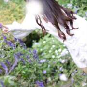 ヒメ日記 2025/12/29 23:25 投稿 めろ The White