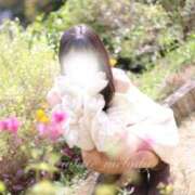 ヒメ日記 2026/01/14 05:26 投稿 めろ The White