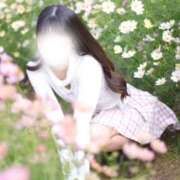 ヒメ日記 2026/01/16 23:05 投稿 めろ The White