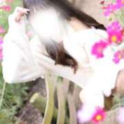 ヒメ日記 2026/01/24 05:25 投稿 めろ The White