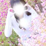 ヒメ日記 2026/02/10 05:26 投稿 めろ The White