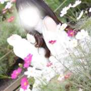 ヒメ日記 2026/02/20 05:27 投稿 めろ The White