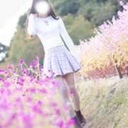 ヒメ日記 2026/04/13 18:02 投稿 めろ The White