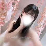 ヒメ日記 2026/04/14 12:17 投稿 めろ The White