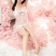 ヒメ日記 2026/04/17 19:02 投稿 めろ The White