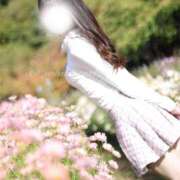 ヒメ日記 2026/04/20 18:02 投稿 めろ The White