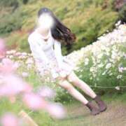 ヒメ日記 2026/04/28 18:31 投稿 めろ The White