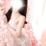 ヒメ日記 2026/04/29 16:56 投稿 めろ The White