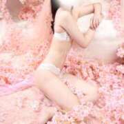 ヒメ日記 2026/05/25 21:16 投稿 めろ The White
