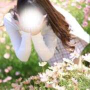 ヒメ日記 2026/09/23 10:33 投稿 めろ The White（ザ ホワイト）