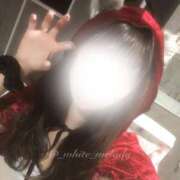 ヒメ日記 2026/10/13 18:16 投稿 めろ The White（ザ ホワイト）