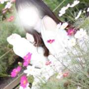 めろ 💧‬ごめんなさい💧‬ The White（ザ ホワイト）
