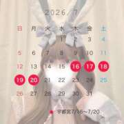 ひめか 出勤予定💕💕 MONTE(モンテ)