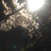 ヒメ日記 2025/04/11 12:55 投稿 かりん バイオレンス