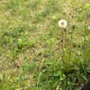 ヒメ日記 2025/05/05 22:25 投稿 かりん バイオレンス