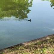 ヒメ日記 2025/05/25 13:55 投稿 かりん バイオレンス