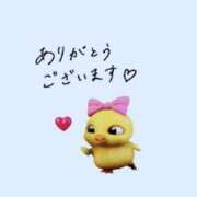 ヒメ日記 2025/06/10 21:05 投稿 かりん バイオレンス